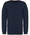 NS403 Native Spirit Kids Crew Neck Sweatshirt Navy colour image